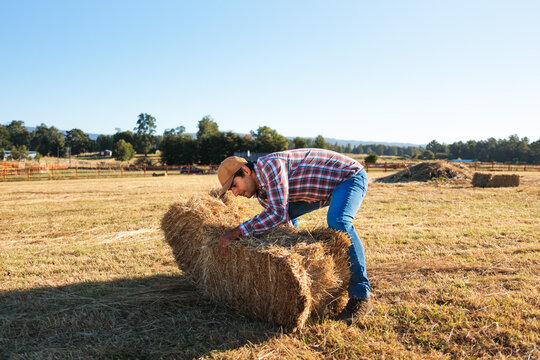 Latin farmer lifting hay bale in field during harvest season
