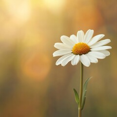 Naklejka premium Delicate White Flower with Vibrant Yellow Center Growing Gracefully on a Green Stem in Nature's Beauty
