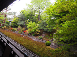 京都　相国寺　裏方丈庭園