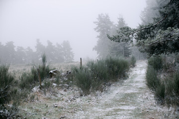 path in frozen landscape in French countryside, Auvergne