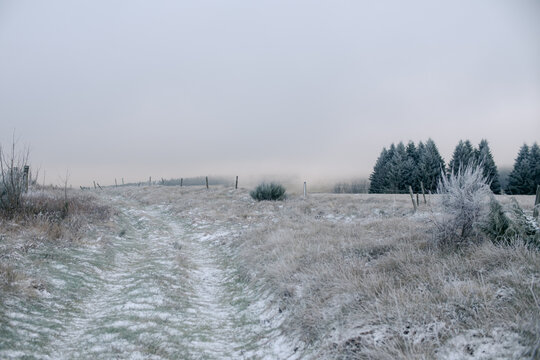 path in frozen landscape in French countryside, Auvergne
