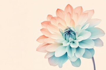 Fototapeta premium Delicate, pastel-toned flower in soft focus.