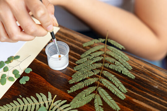 Hand of an unknown creative woman taking neutral ph glue with a brush