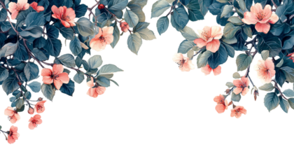 pink cherry blossom isolated on transparent background