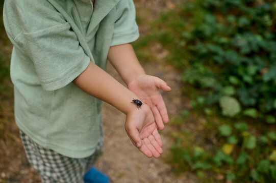 the child is holding a bug on his hand