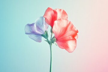 Delicate pastel flowers in soft hues against a gradient background.
