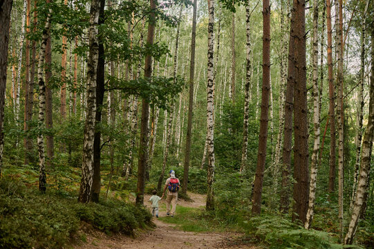 father and son are walking in the green forest - Powered by Adobe