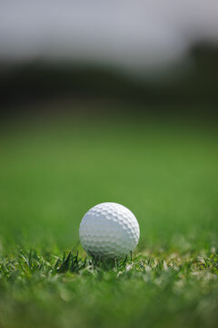 Close-up of golf ball on green grass with blurred background