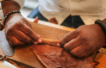 Expert hands crafting premium cigar, showcasing skill and tradition