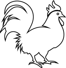 Rooster line vector illustration. white flat  a rooster standing. Isolated on a white background