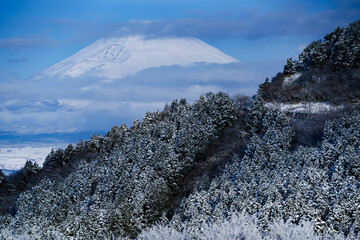 富士山fujisan
