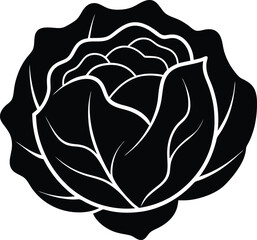 cabbage vector illustration  silhouette icon 
