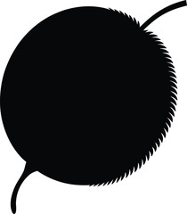 kiwi fruit silhouette vector on white background 