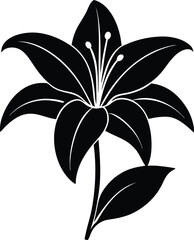 lily flower silhouette vector on white background .eps