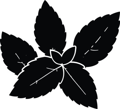 black mint leaves on white background clip art preview