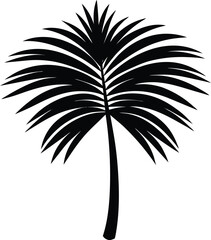 Obraz premium palm leaf silhouette vector illustration on white 