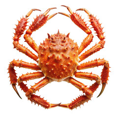 King crab isolated on white background