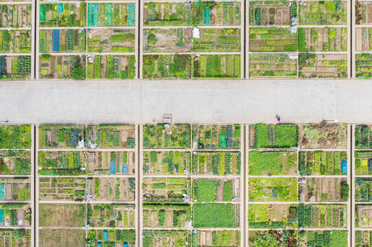 Aerial View of Agricultural Plots Divided by Concrete Road