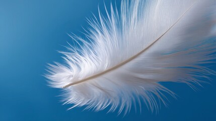 Fototapeta premium Decorative Feather with Black Marks on Blue Backdrop ,fantasy World, Fantasy Landscape