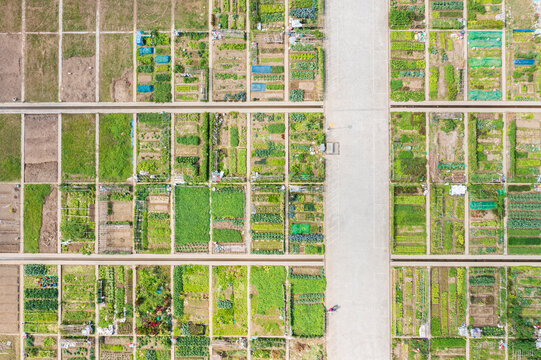 Aerial View of Urban Community Garden Allotments Grid