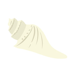 White Seashell 