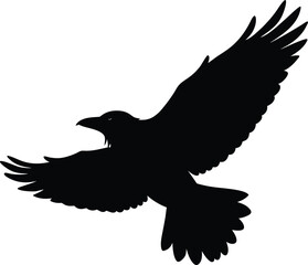 silhouette of a raven flying on white background 