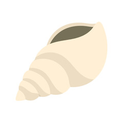 Tropical Seashell 