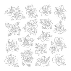 Black and white floral and butterfly seamless pattern design for decoration and art