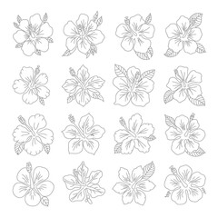 Black and white floral and butterfly seamless pattern design for decoration and art