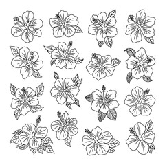 Black and white floral and butterfly seamless pattern design for decoration and art