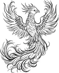 Detailed Phoenix Illustration