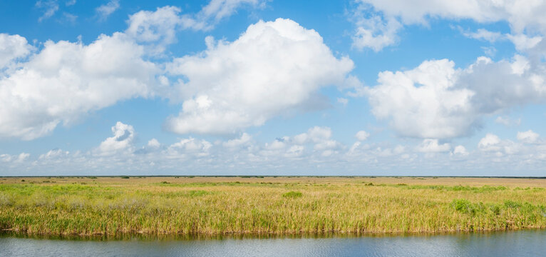 Florida Everglades landscape