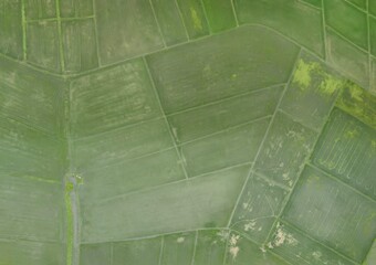 Top View Aerial Photograph