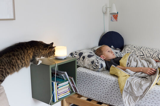 A little boy lies in bed with his cat