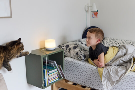 A little boy uses humidifier and plays with his cat