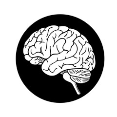 human brain vector illustration