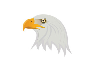 bald eagle head
