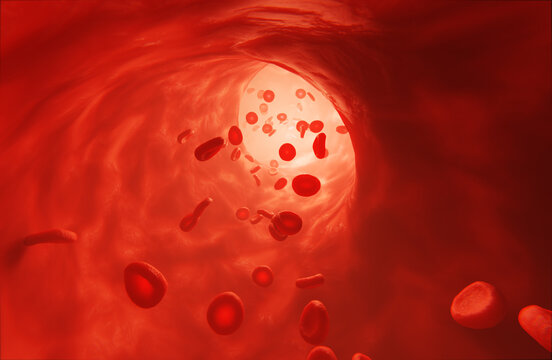Blood cells inside vein