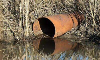 Rusty Metal Pipe in Marsh: Environmental Still Image - Powered by Adobe