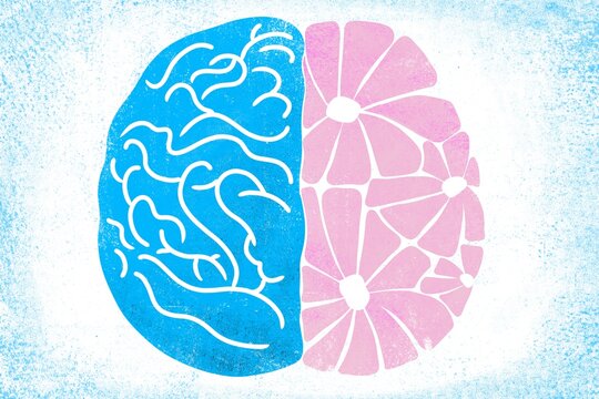 Human brain