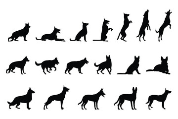 German Shepherd-1 [Converted]