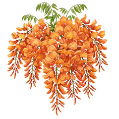 autumn leaves vector