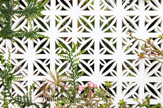 Art Deco Wall texture  flower Vine Background