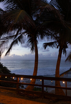Vertical Sunset beach ocean Landscape Puerto Rico 