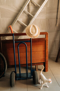 Hand truck with straw hat and kitten in garage setting
