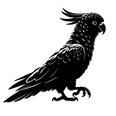 Obraz premium Cockatoo parrot standing silhouette illustration