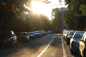Pollen arrival in the streets