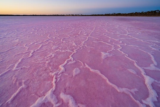 Crusty patterns on a salt lake