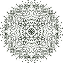 Beautiful flower art and mandala vector design