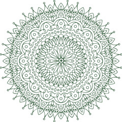 Beautiful flower art and mandala vector design